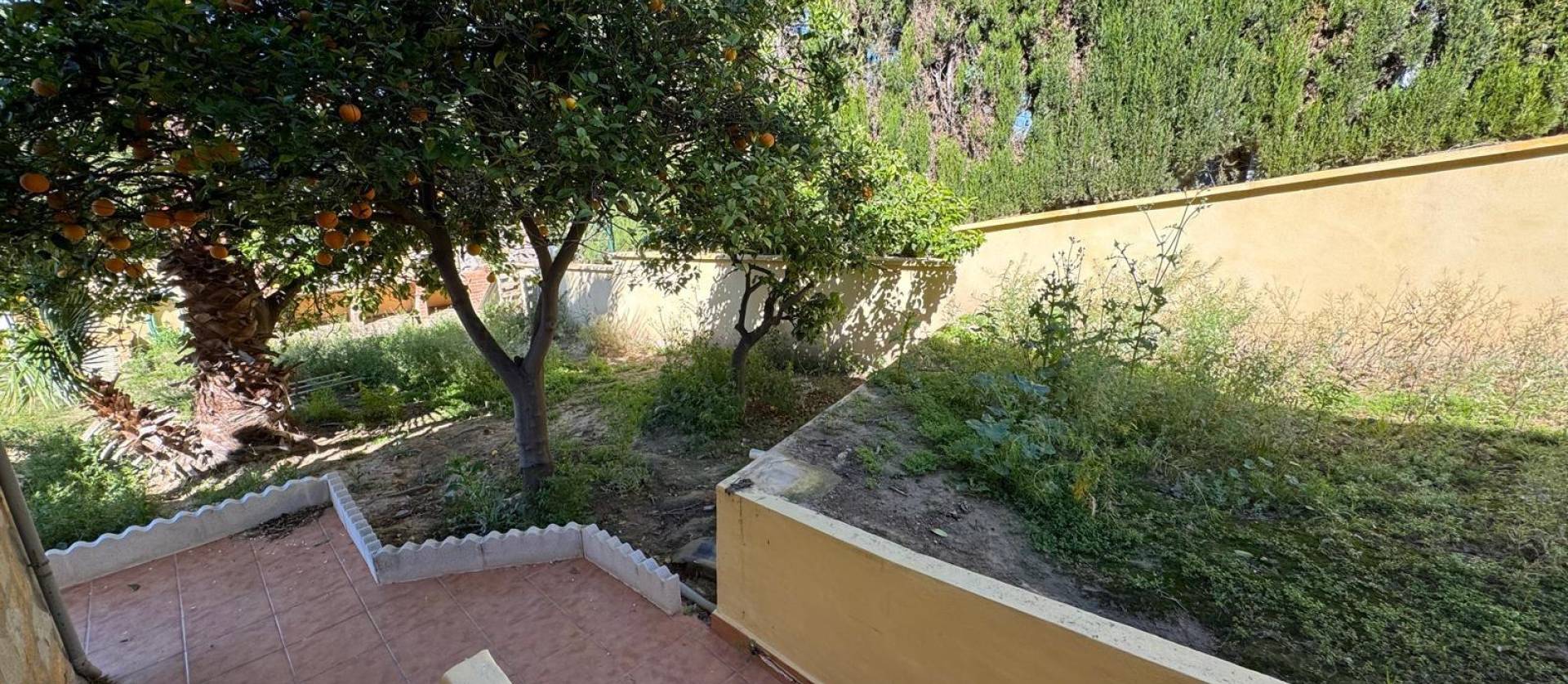 Sale - Villa - Torrevieja - Los balcones