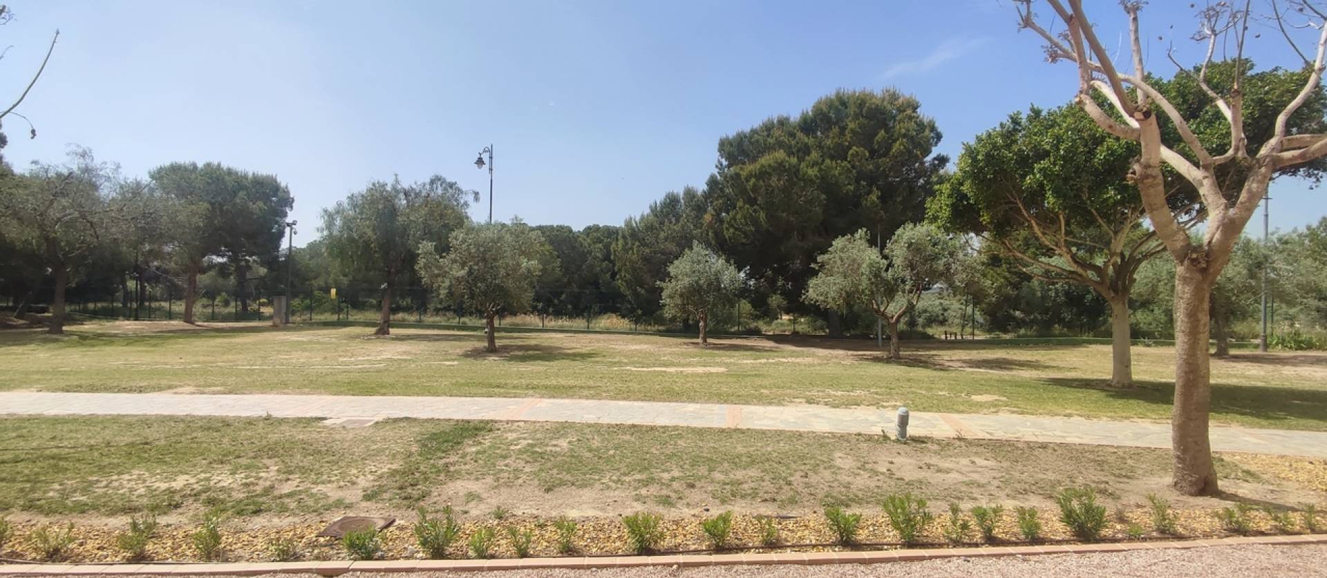 Sale - Apartment - Hacienda Riquelme Golf Resort