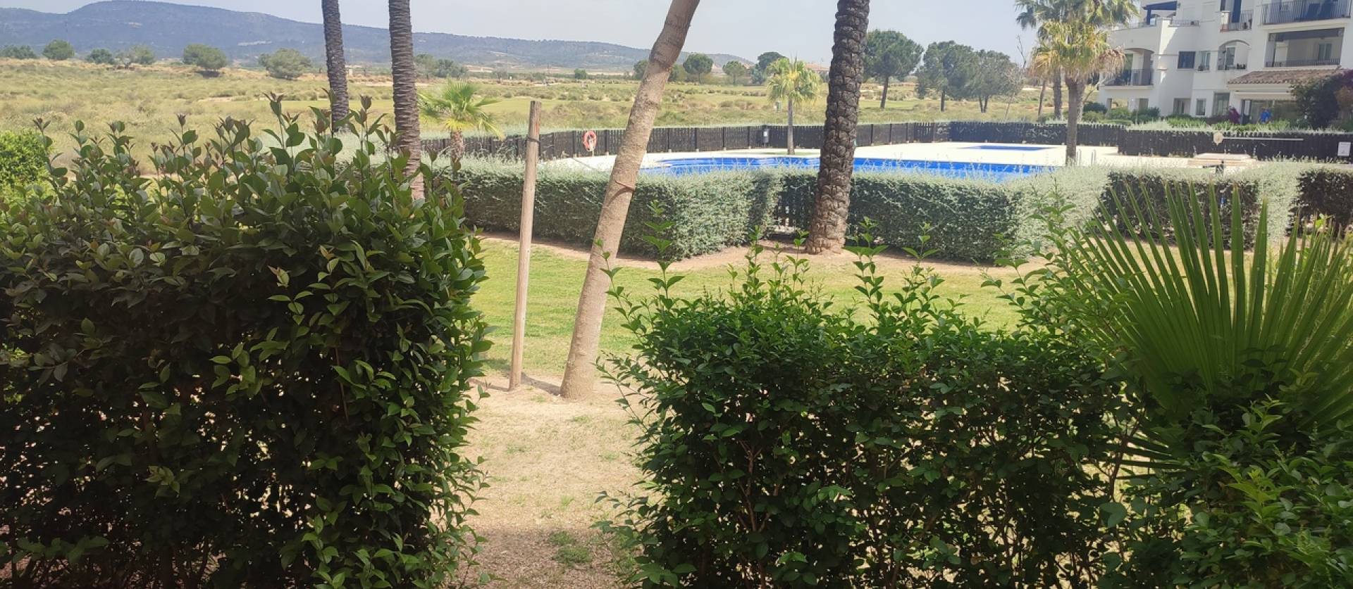 Sale - Apartment - Hacienda Riquelme Golf Resort