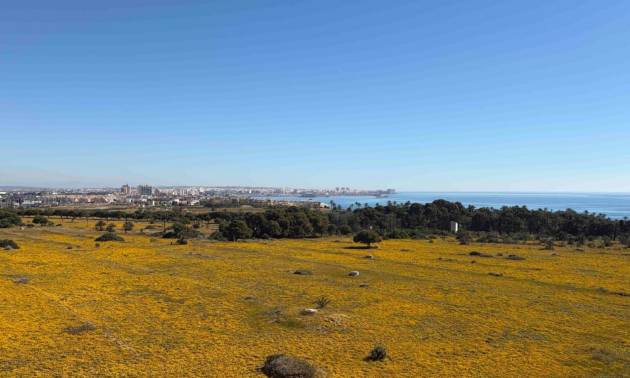 Sale - Apartment - Orihuela Costa - Punta Prima