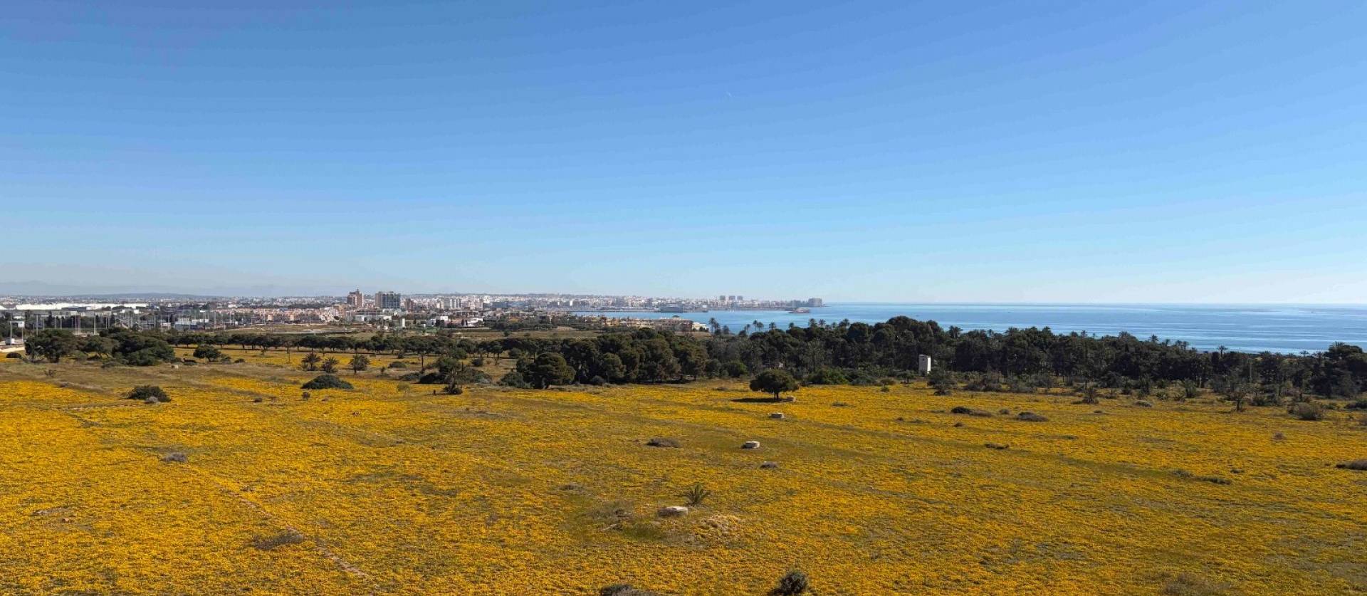 Sale - Apartment - Orihuela Costa - Punta Prima
