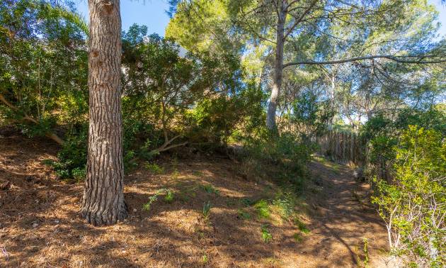 Bestaande woningen - Villa - Orihuela - Orihuela Costa