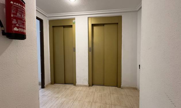 Venta -  - Torrevieja - Centro