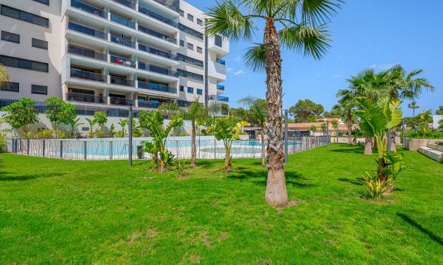 Venta -  - Dehesa De Campoamor - Dehesa de campoamor