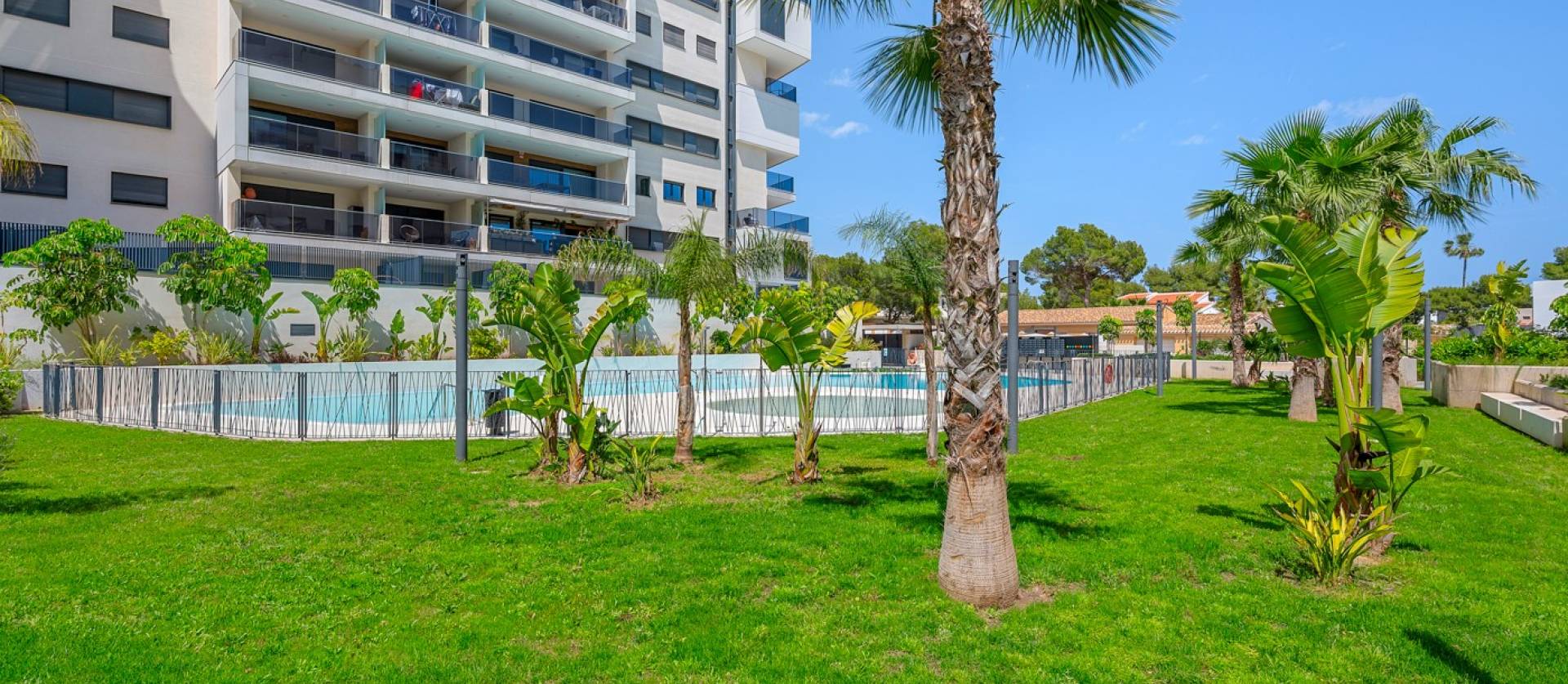 Venta -  - Dehesa De Campoamor - Dehesa de campoamor