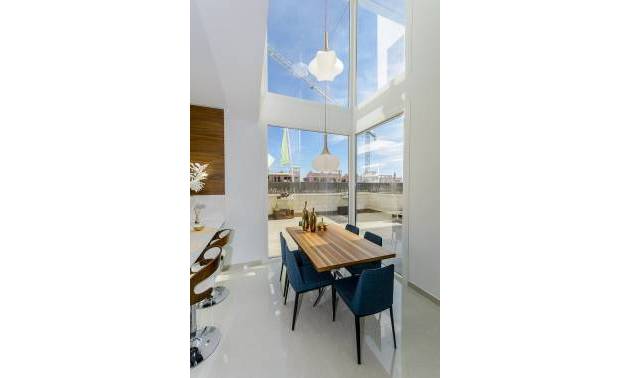 Nieuwbouw projecten - Villa - Los Montesinos - La Herrada