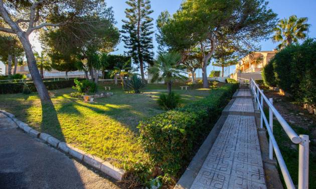 Bestaande woningen - Appartment - Torrevieja - Torreblanca