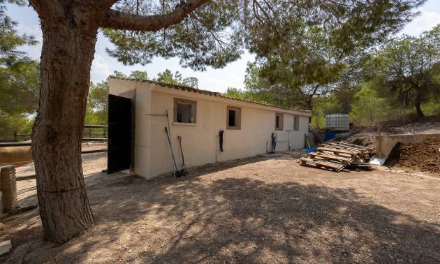 Bestaande woningen - Landelijk huis - Torremendo