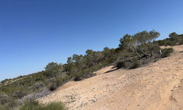 Venta -  - San Fulgencio - La Marina