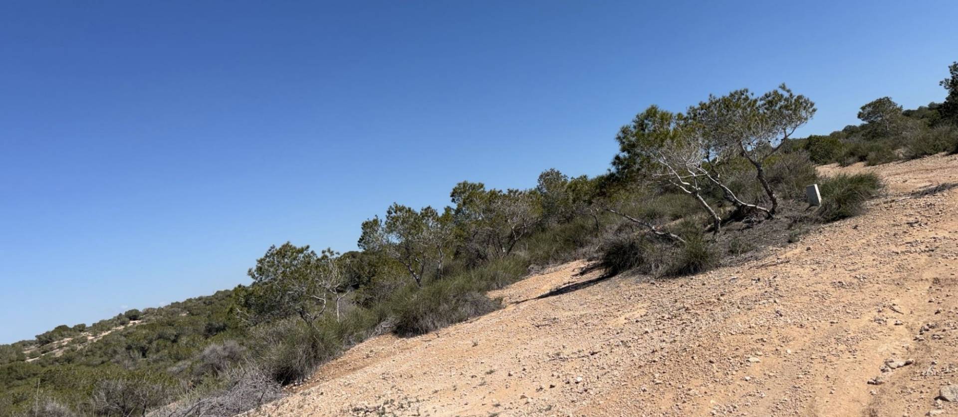 Venta -  - San Fulgencio - La Marina