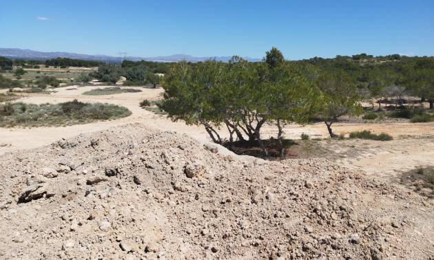 Venta -  - San Fulgencio - La Marina