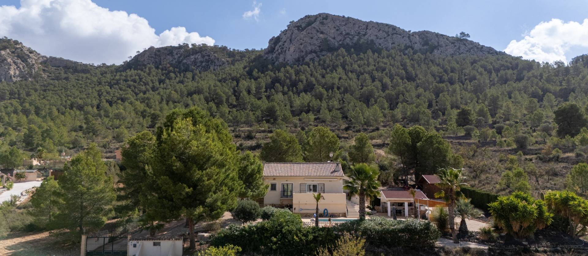 Bestaande woningen - Villa - La Zarza
