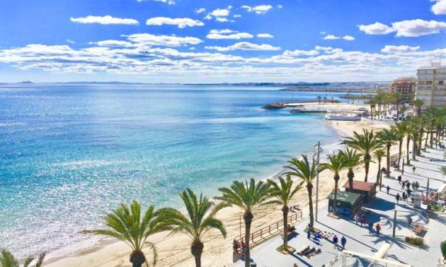 Nueva construcción  - Bungalow - Torrevieja - Lago Jardín II
