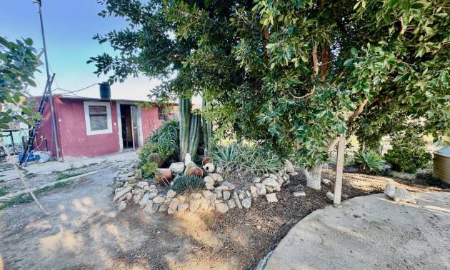 Sale - Country House - Guardamar del Segura