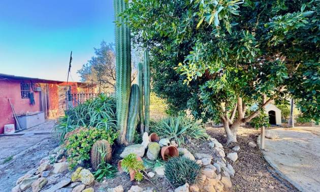 Sale - Country House - Guardamar del Segura