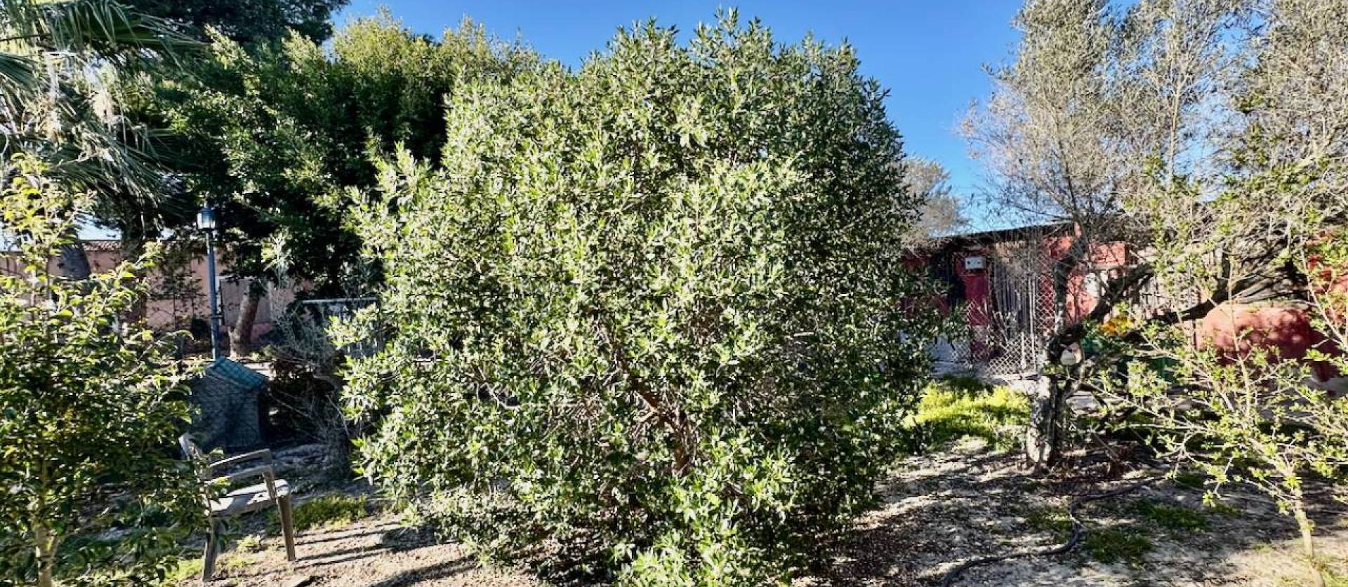 Sale - Country House - Guardamar del Segura
