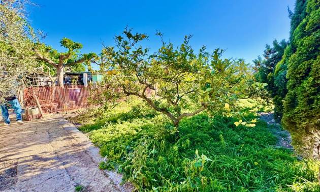 Sale - Country House - Guardamar del Segura