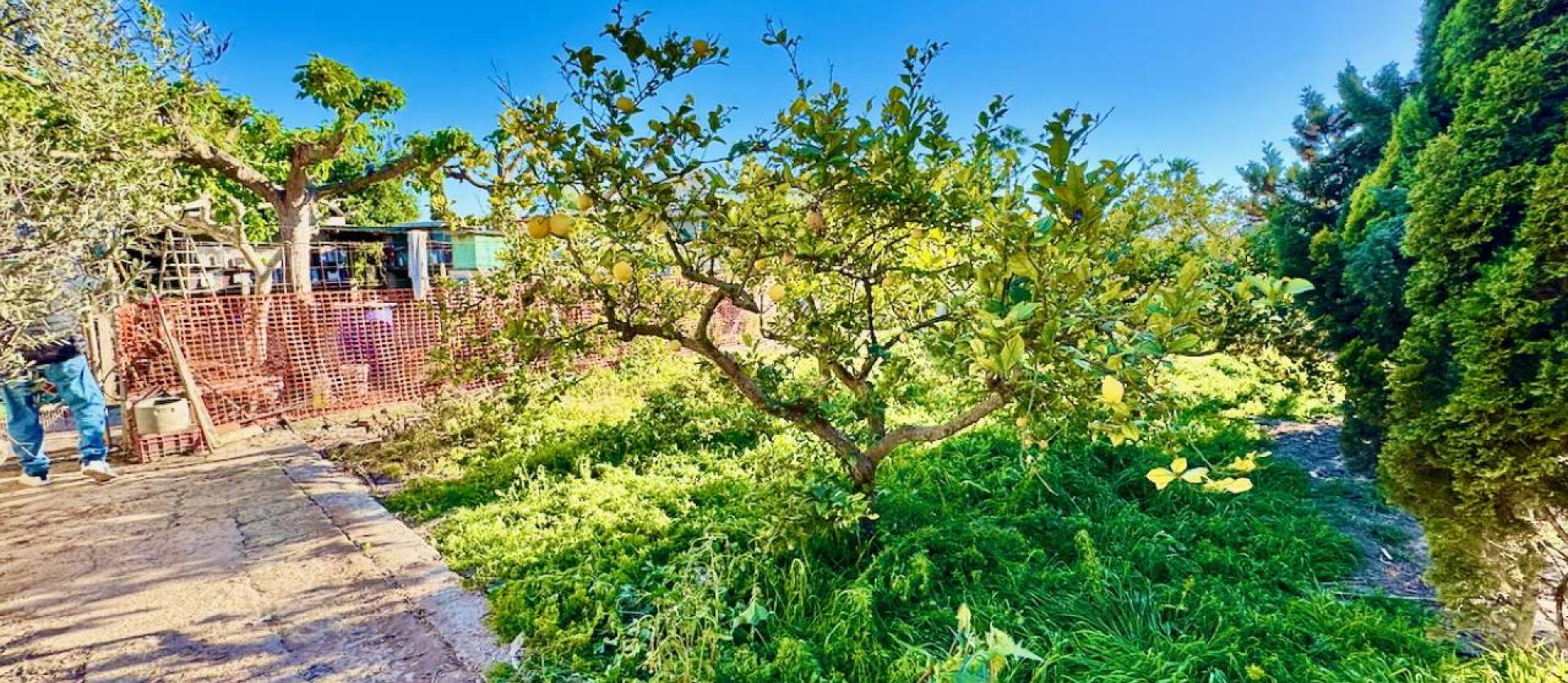 Sale - Country House - Guardamar del Segura