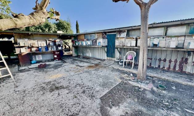 Sale - Country House - Guardamar del Segura
