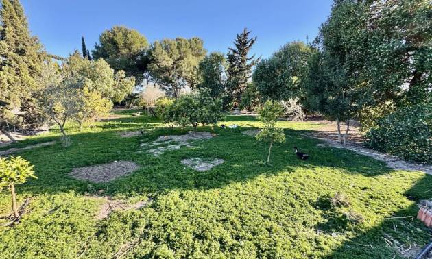 Sale - Country House - Guardamar del Segura