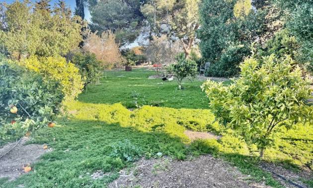 Sale - Country House - Guardamar del Segura