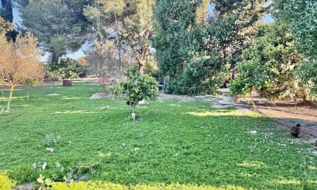Sale - Country House - Guardamar del Segura