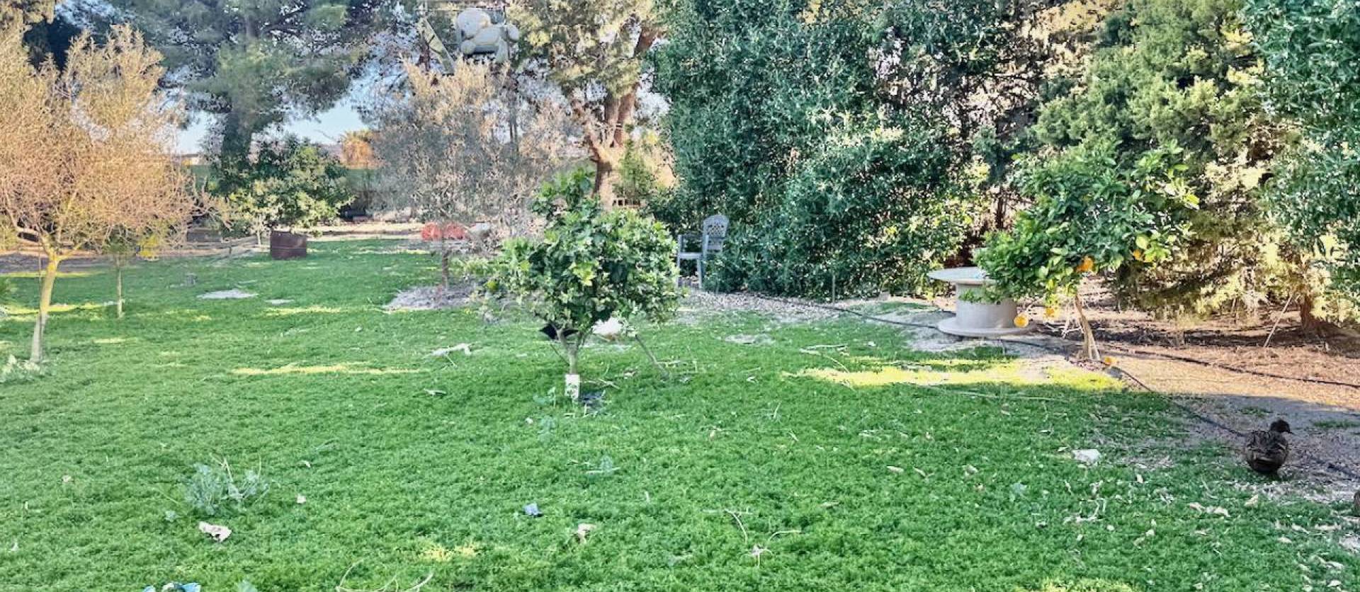 Sale - Country House - Guardamar del Segura