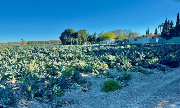 Sale - Country House - Guardamar del Segura