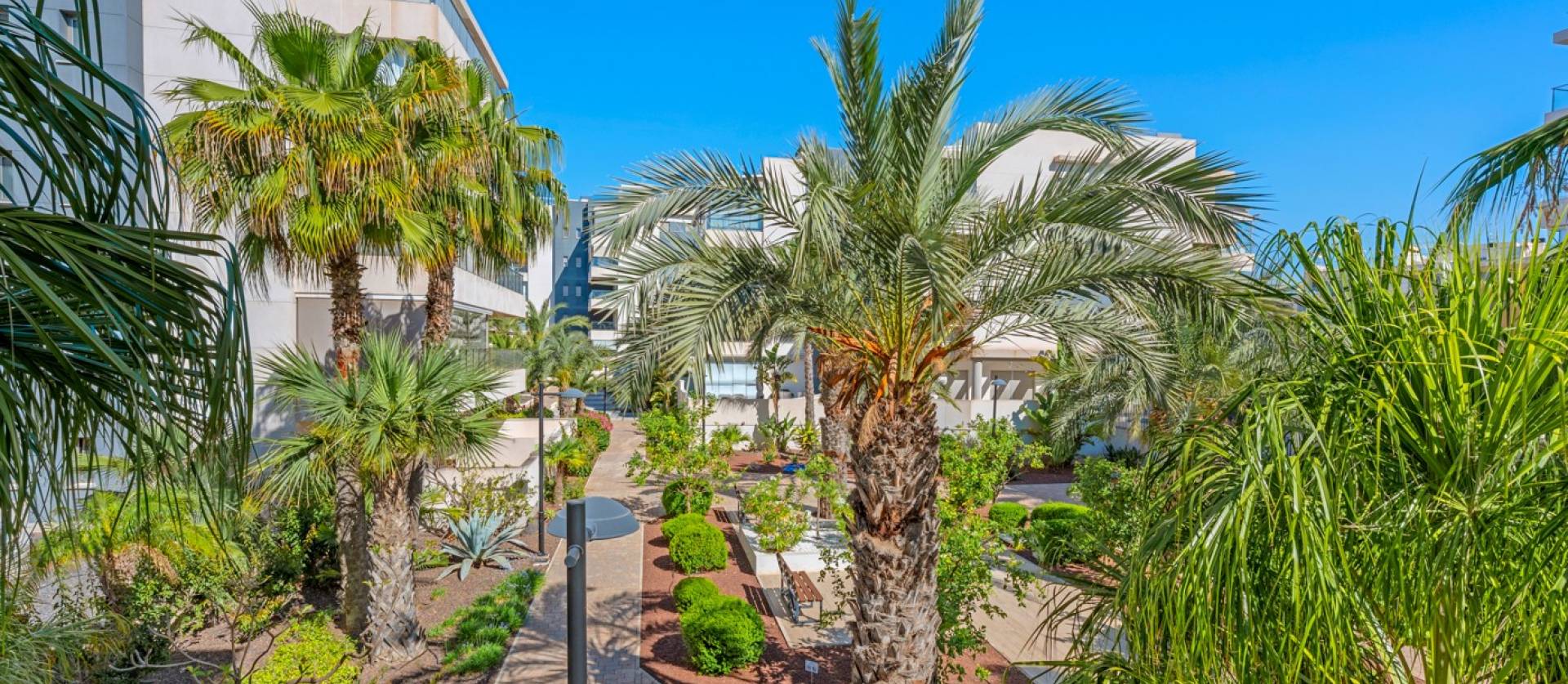 Venta -  - Orihuela Costa - Los Dolses