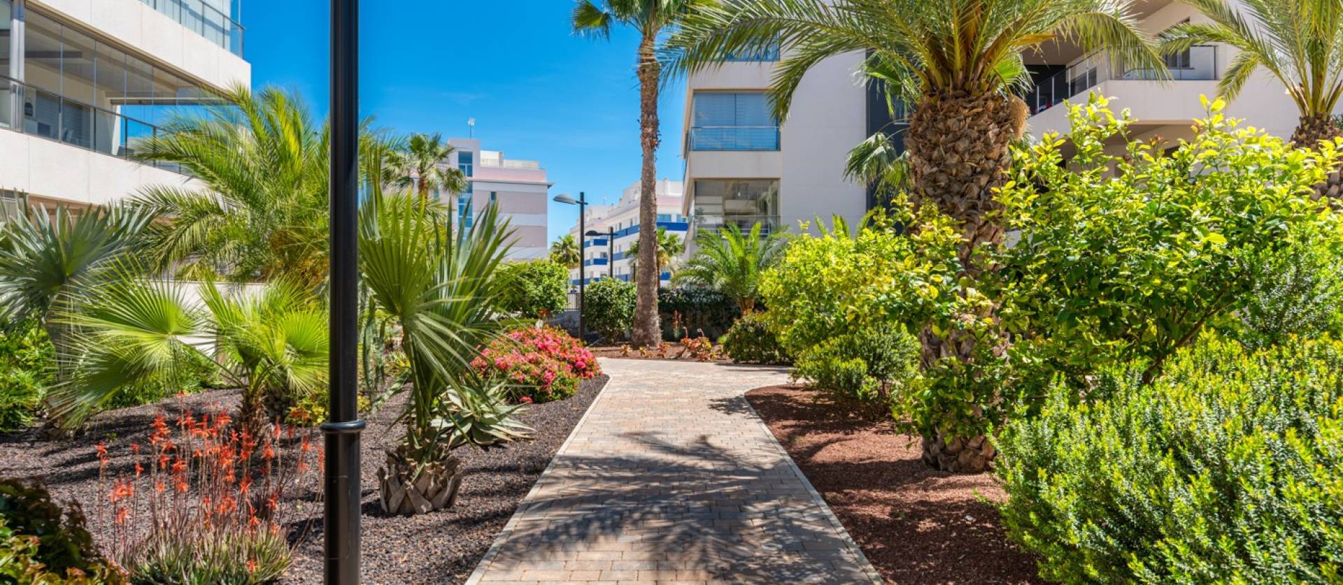 Venta -  - Orihuela Costa - Los Dolses