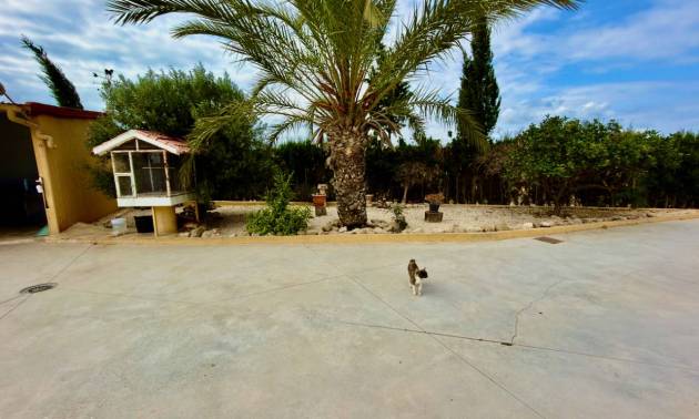 Bestaande woningen - Landelijk huis - San Fulgencio - La Marina