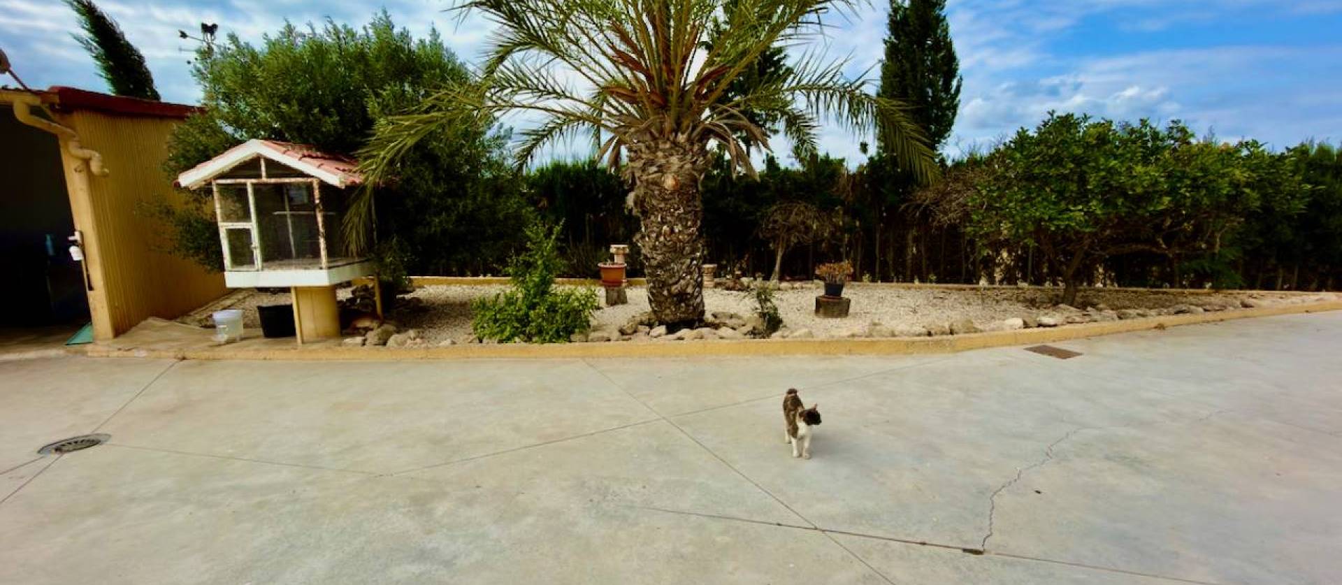 Bestaande woningen - Landelijk huis - San Fulgencio - La Marina