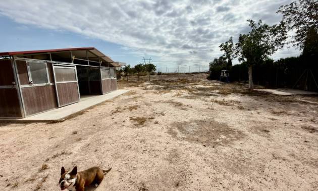 Bestaande woningen - Landelijk huis - San Fulgencio - La Marina
