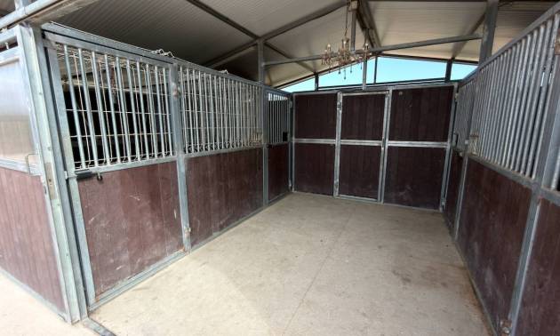 Bestaande woningen - Landelijk huis - San Fulgencio - La Marina