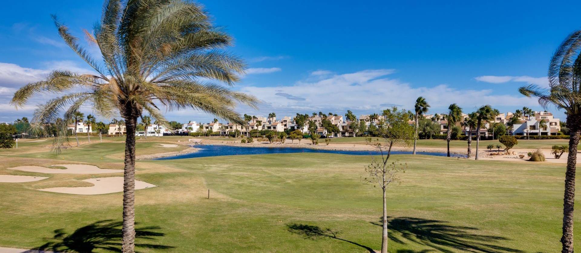 Nueva construcción  - Villa - Pilar de la Horadada - Roda Golf
