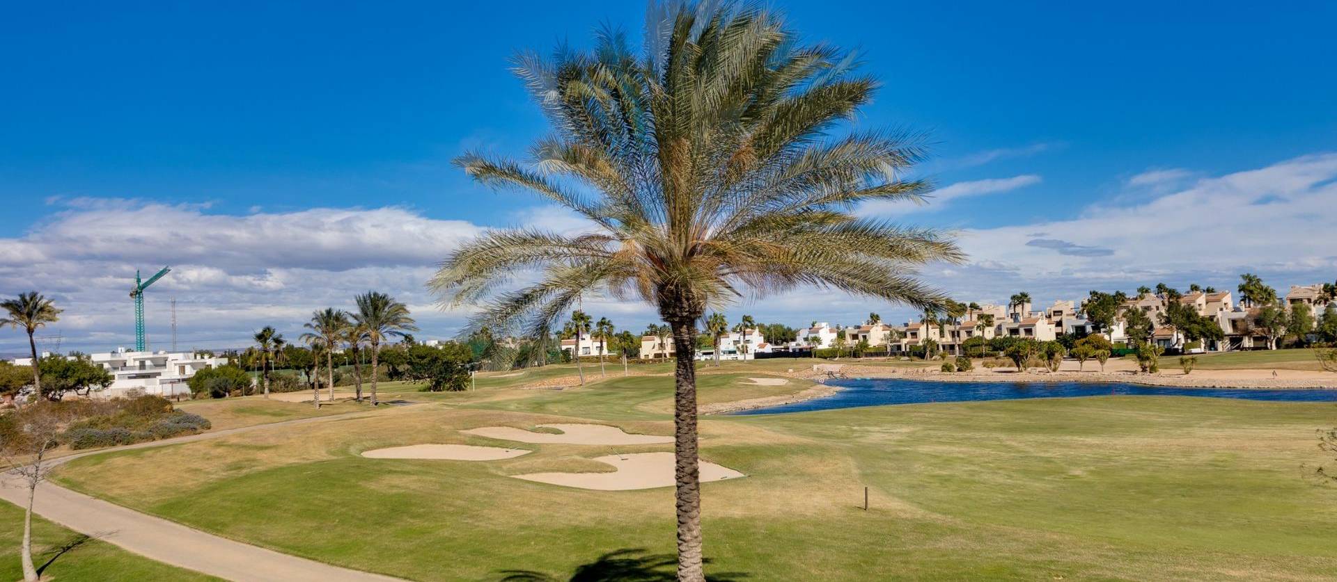 Nueva construcción  - Villa - Pilar de la Horadada - Roda Golf