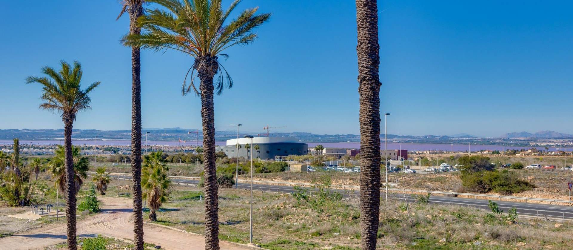 Nueva construcción  - Villa - Torrevieja - Parque Acuático - Sector 25