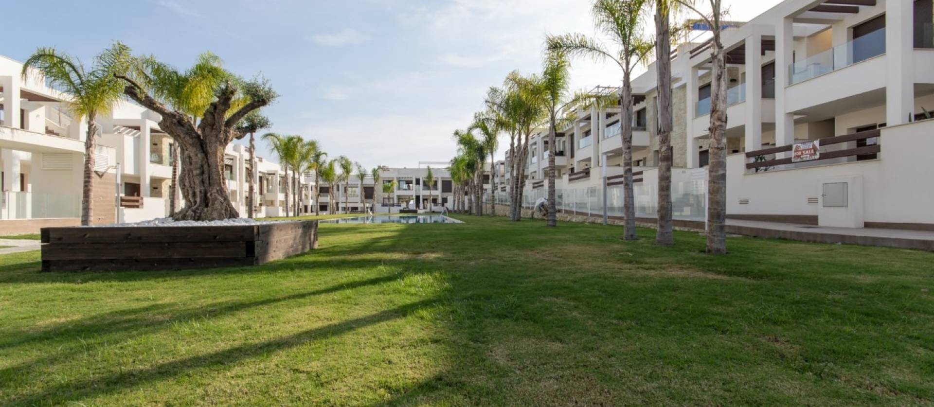 Nouvelle construction - Bungalow - Torrevieja - Los Balcones