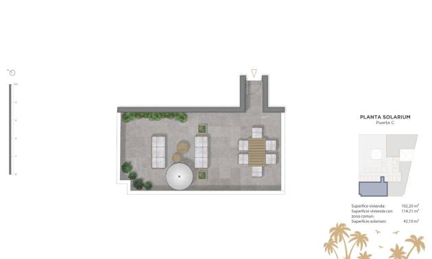 Nueva construcción  - Apartment - Guardamar del Segura - Pueblo