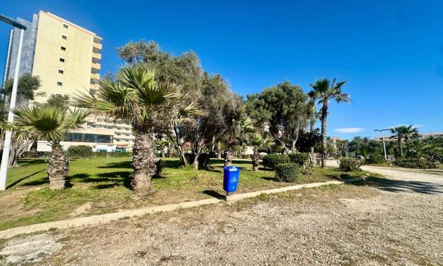 Revente - Apartment - Torrevieja - Cabo Cervera