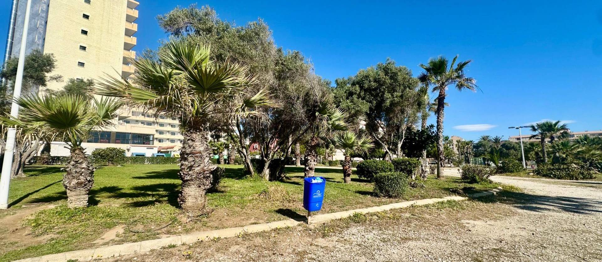 Revente - Apartment - Torrevieja - Cabo Cervera