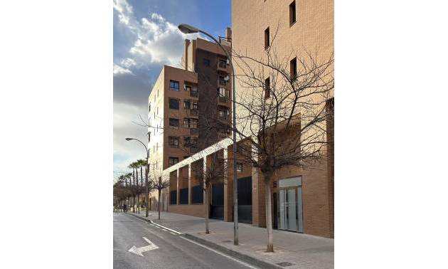 Nueva construcción  - Apartment - Alicante - Carolinas Bajas
