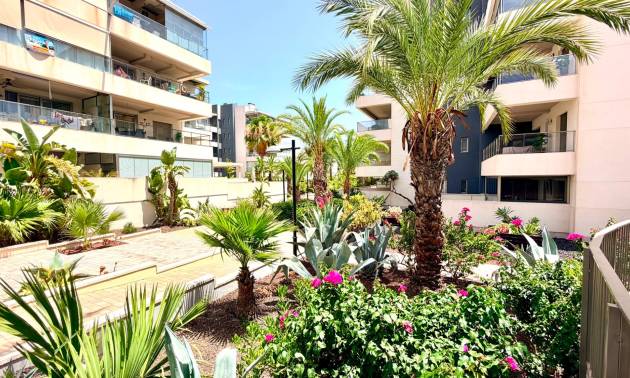 Bestaande woningen - Appartment - Orihuela Costa - La Zenia