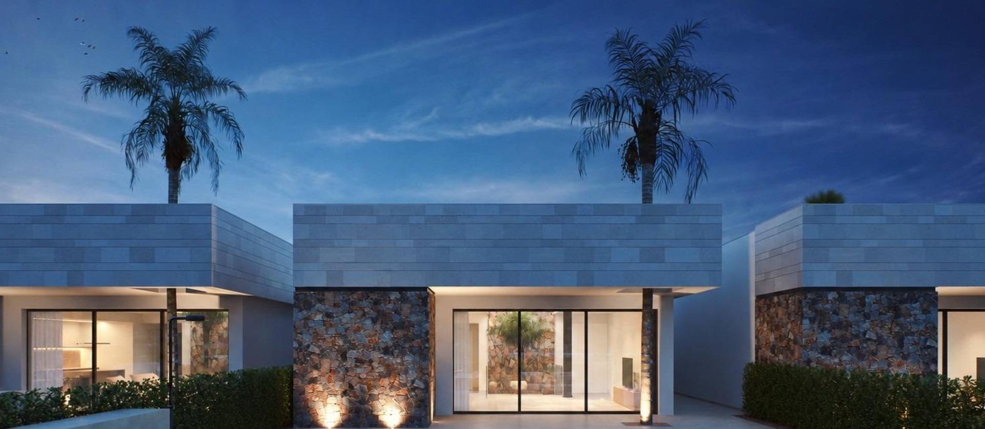 Nouvelle construction - Villa - Torre Pacheco - Santa Rosalía