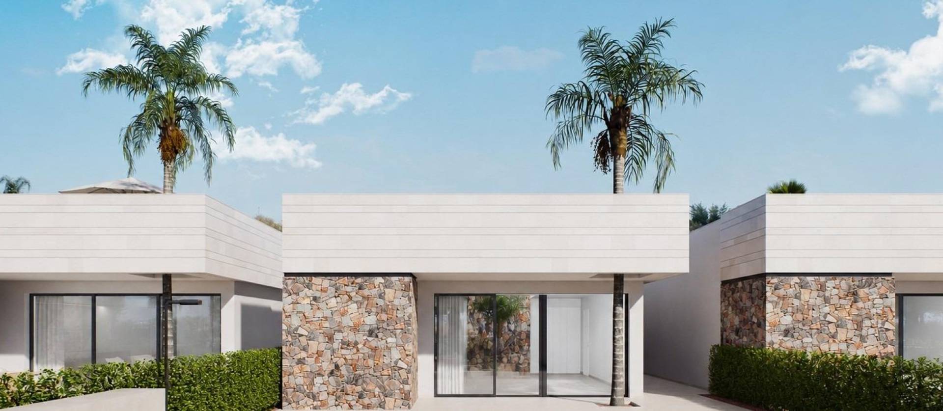 Nouvelle construction - Villa - Torre Pacheco - Santa Rosalía