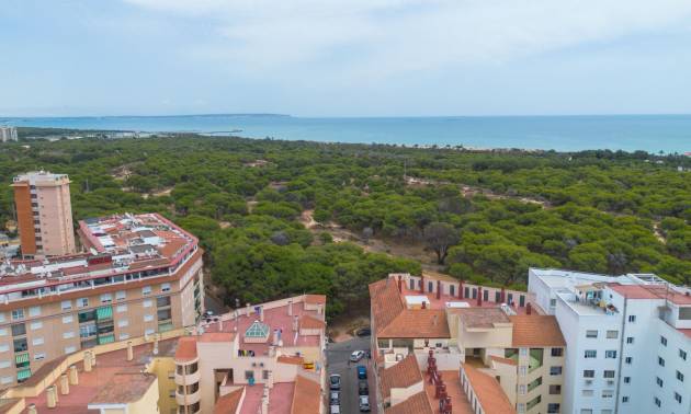 Sale - Apartment - Guardamar del Segura - CENTRO