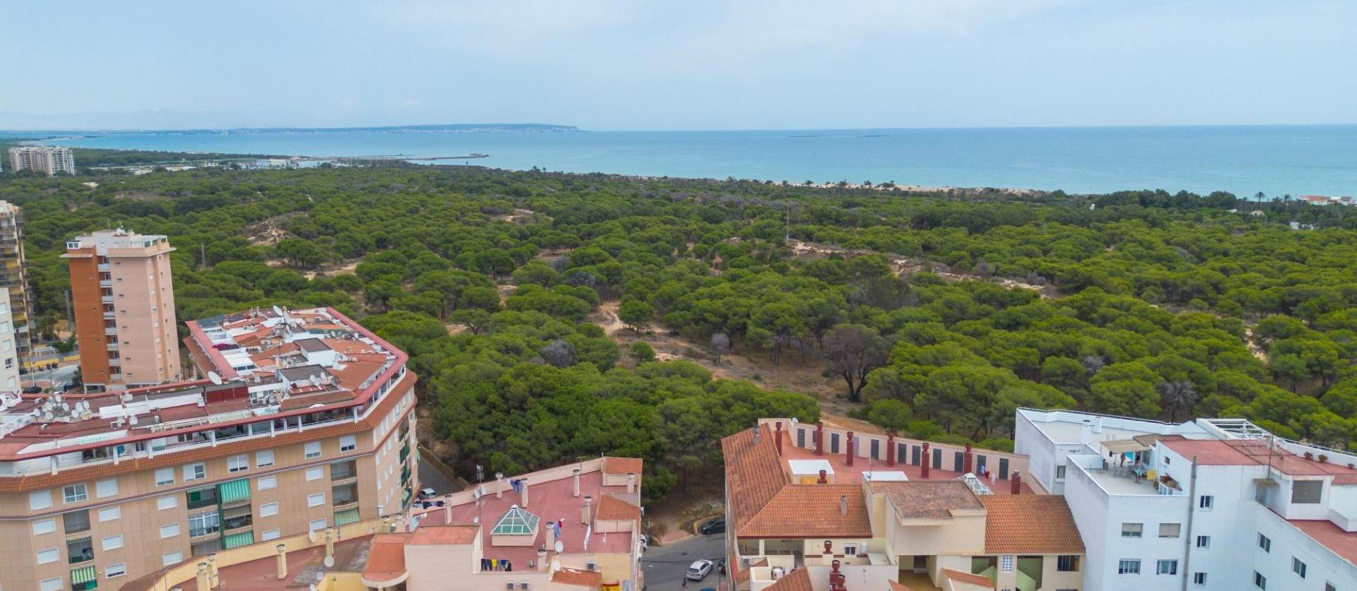 Sale - Apartment - Guardamar del Segura - CENTRO