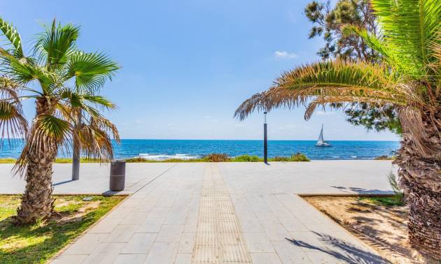 Sale - Apartment - Torrevieja - Estacion de autobuses