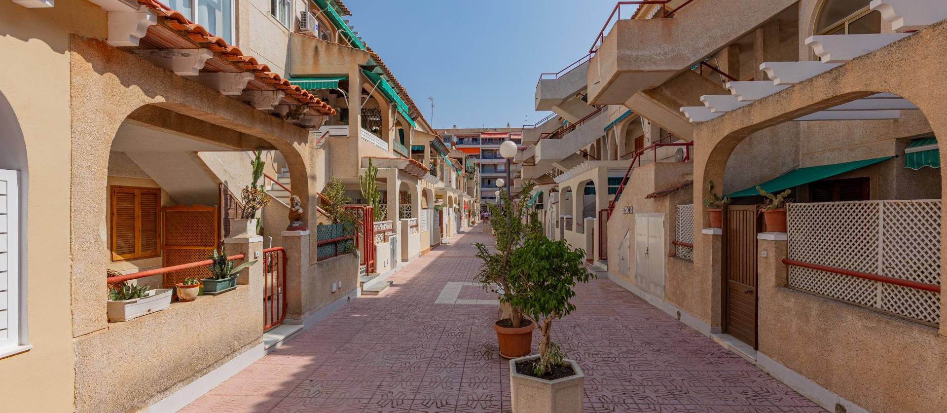 Revente -  - Torrevieja - Acequion