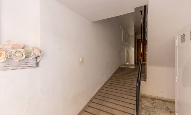 Revente - Apartment - Torrevieja - Nueva Torrevieja